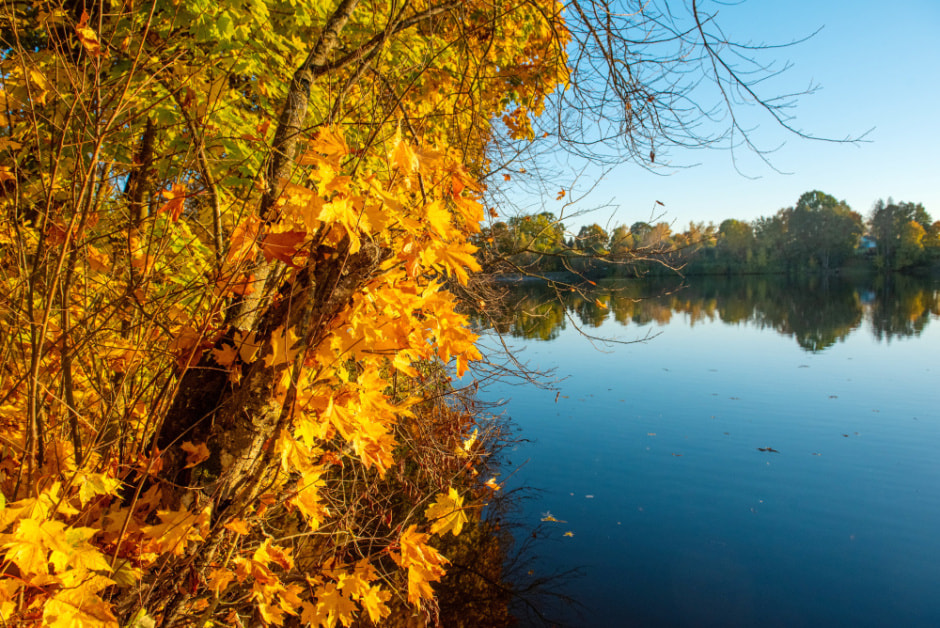 Ждем снег Синоптик Рябов поделился прогнозом на неделю — с 28 октября по 3 ноября.jpg