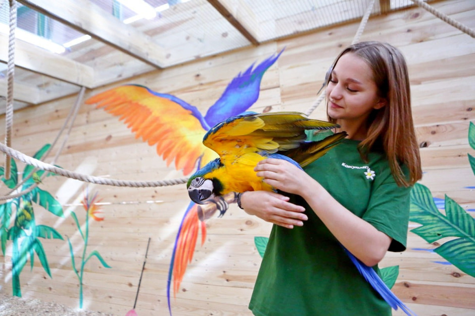 Попугайня в Витебске 12.jpg