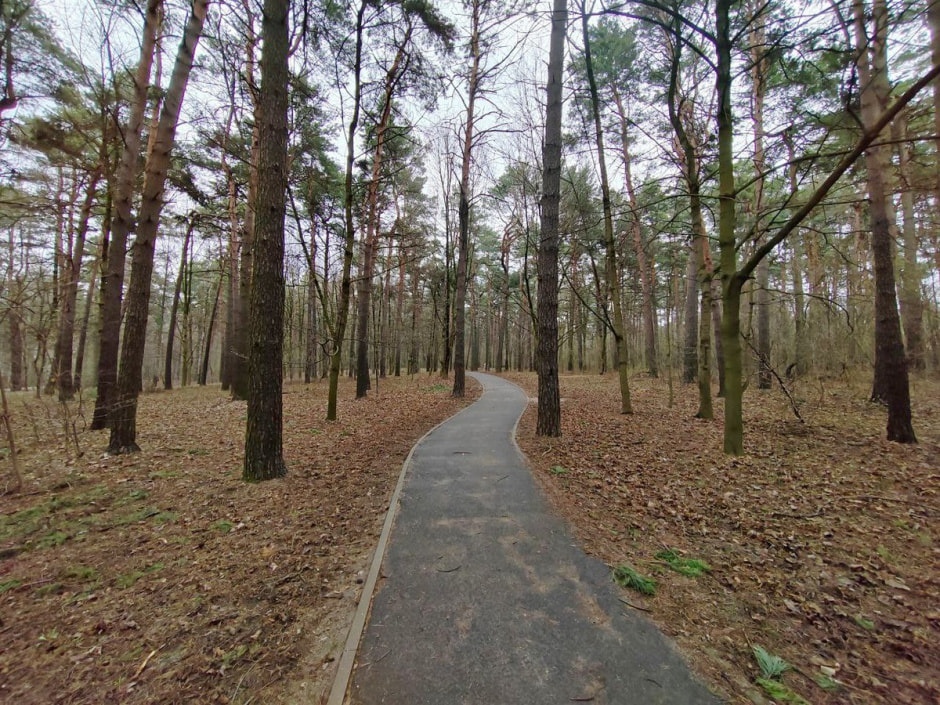 Парк 50-летия Октября 3.jpg