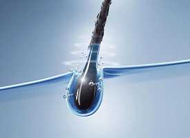 Ученые выяснили, что клетки волос могут заживлять раны на коже