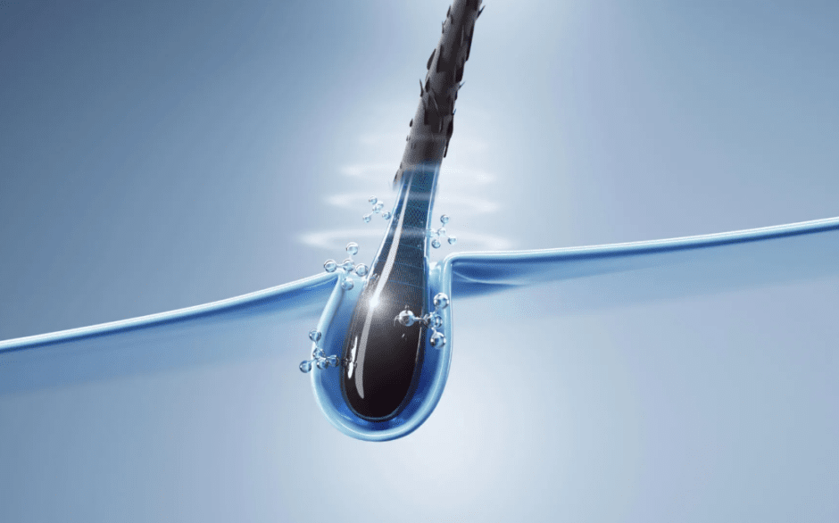 волосяные фолликулы