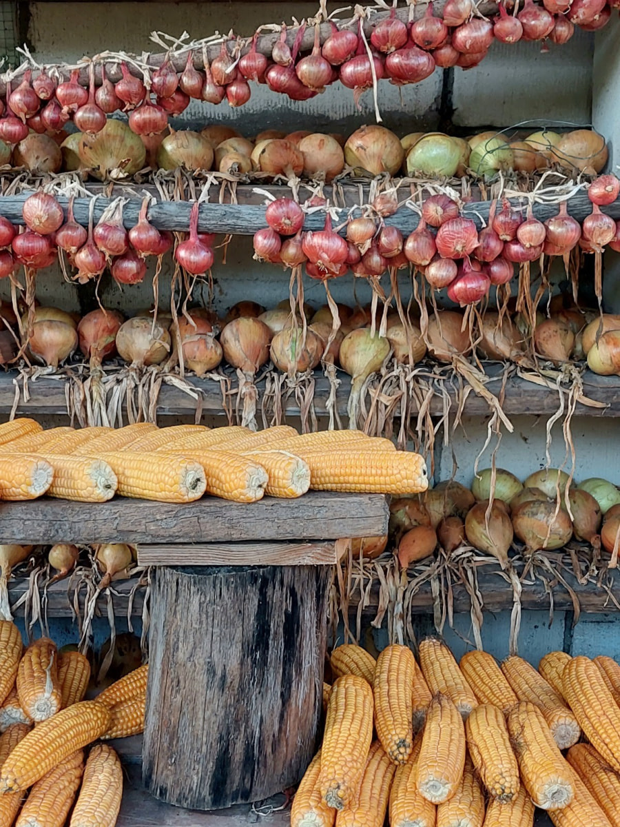 Лето в деревне 4.jpg