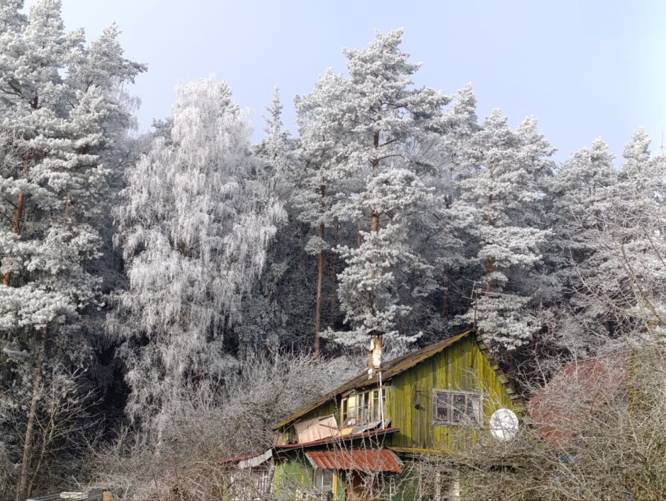 лес снег зима дом.jpg