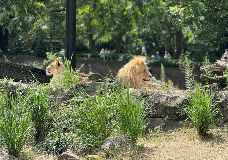 Берлинский зоопарк 10.jpg