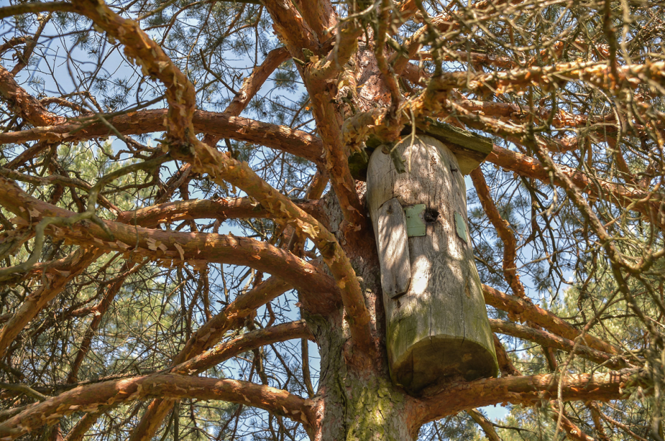 Пчеловод с Полесья 14.png