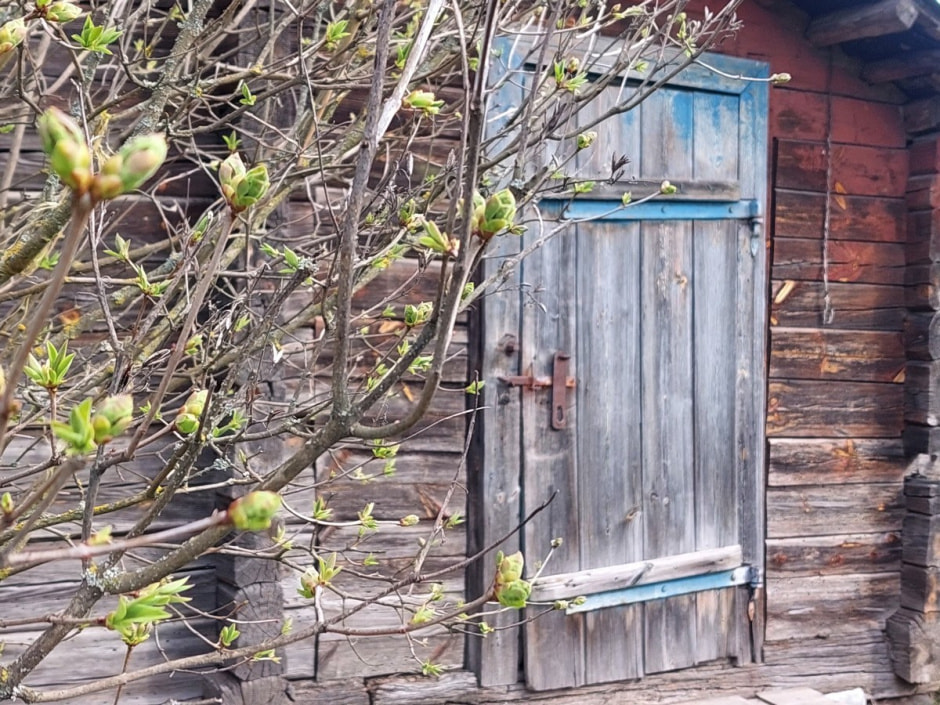 Сплав по морю Геродота 2.jpg Сплав по морю Геродота 2.jpg