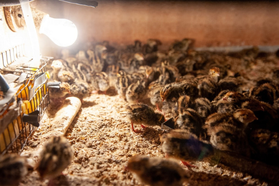 Хутор Окушково 17.jpg Хутор Окушково 17.jpg