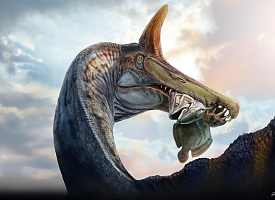 В Сахаре обнаружили "адскую цаплю" — гигантского спинозавра с гребнем в форме лезвия