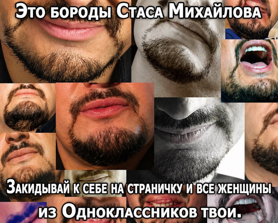 Стас и бороды, мем