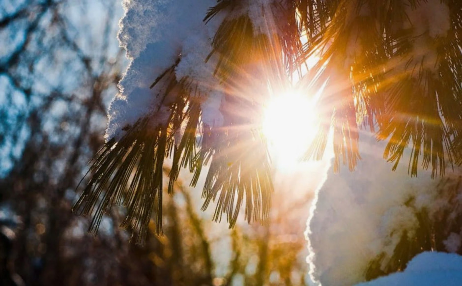 Зима солнце.jpg