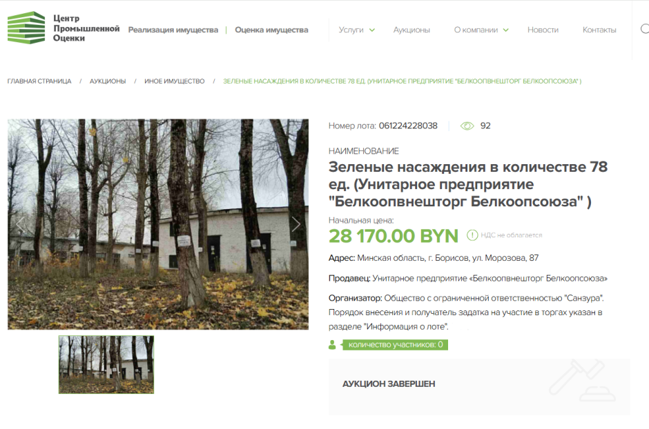 Аукцион деревья.png