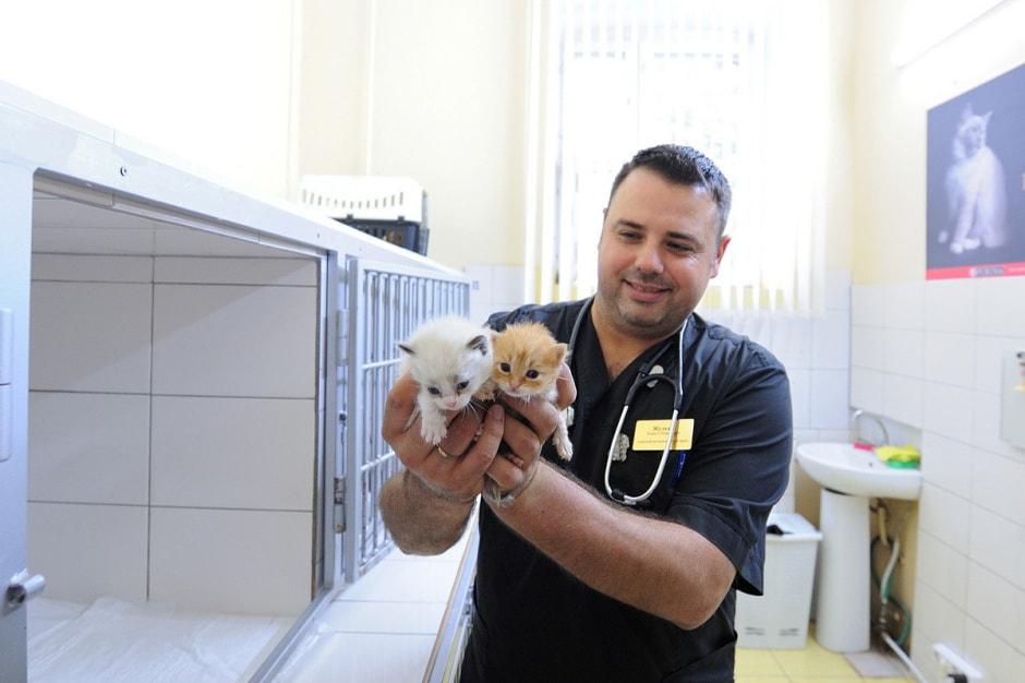 Суперветеринар из Лиды 13.jpg