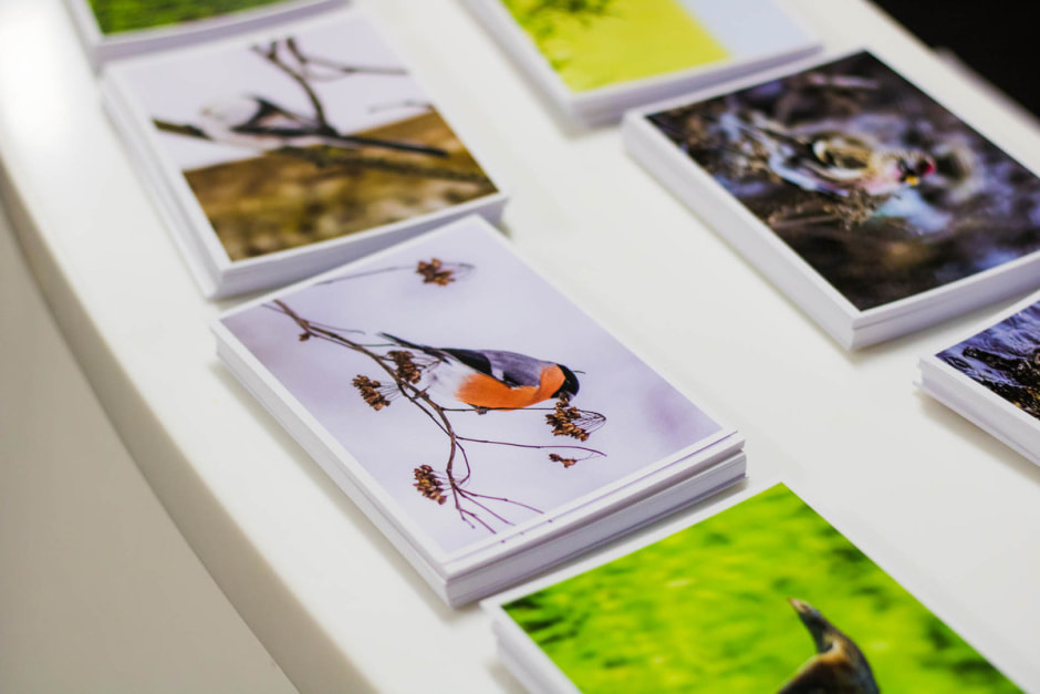 Фотовыставка 35.jpg