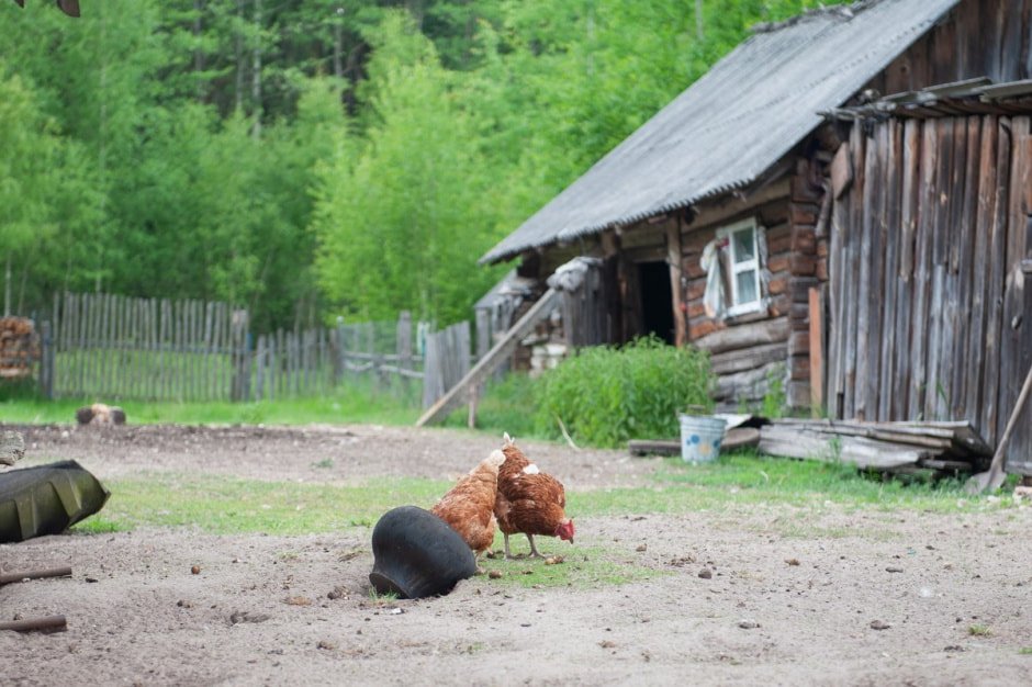 Дом-вышиванка Марии Сочилович из Грабово 2.jpg