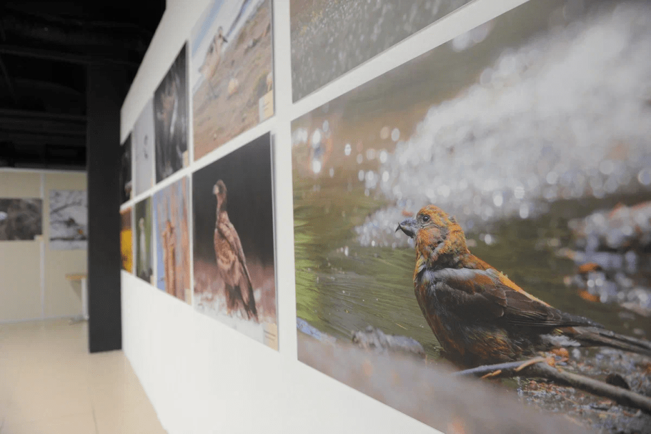 Выставка 1.png