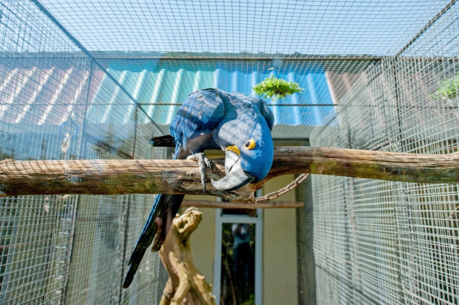 Семья Шокало и экзотический сад 27.jpg