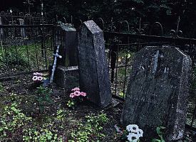 В Германии запретили захоронения на кладбище под Гамбургом из-за мумификации тел   