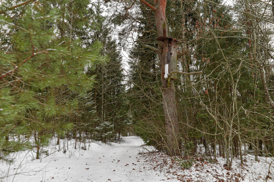 Хутор Комаришки 19.jpg