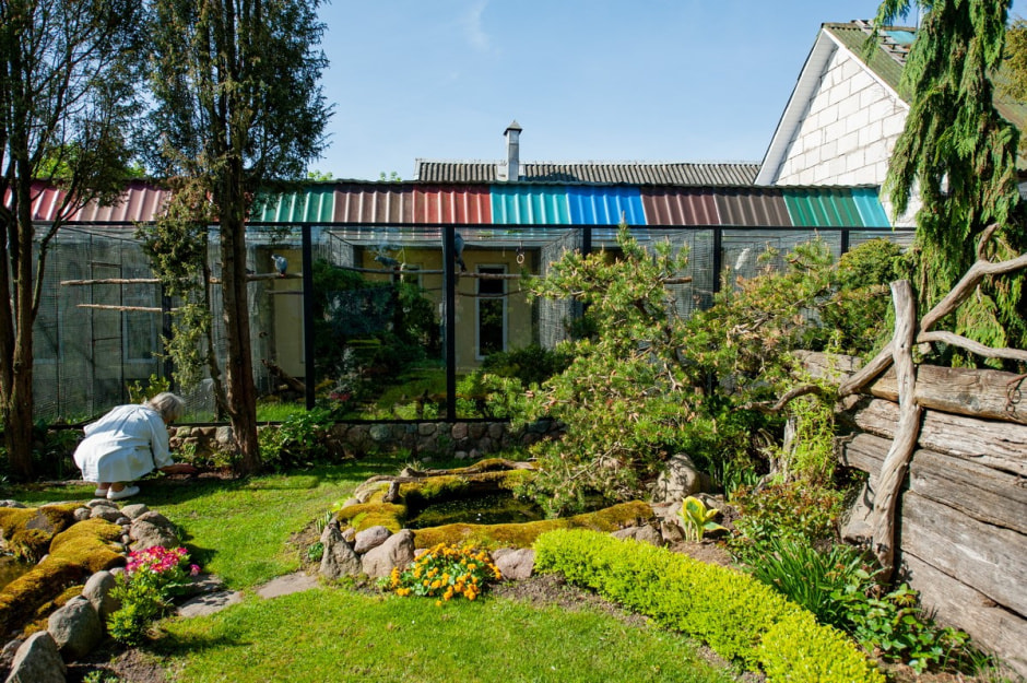 Семья Шокало и экзотический сад 26.jpg