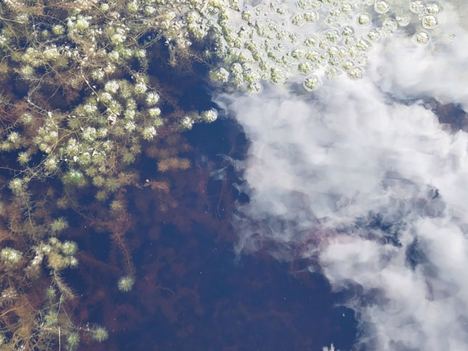 Поход на Ельню 13.jpg