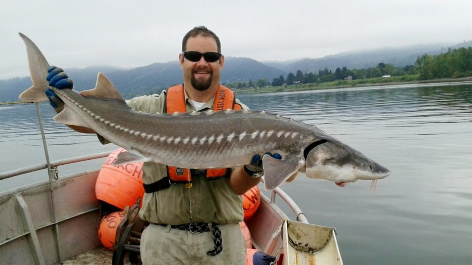 Рыбный мир Беларуси 8.jpg Рыбный мир Беларуси 8.jpg