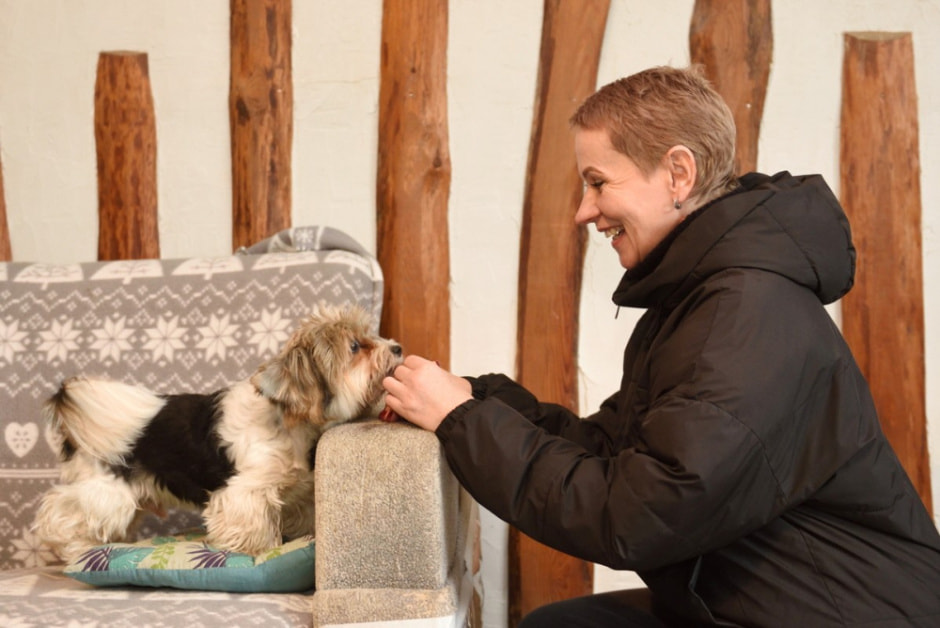 Зоогостиница 4 лапы 1_Людмила Захаренко.jpg