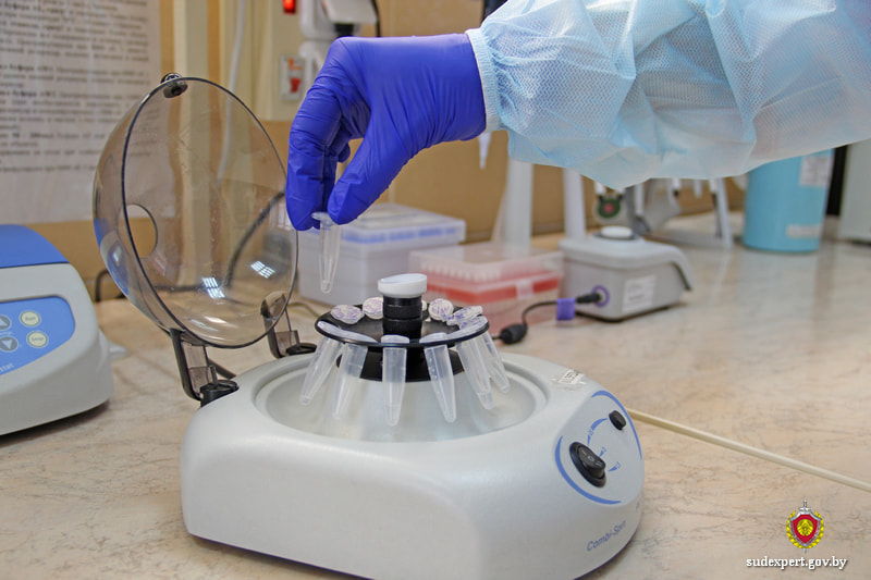 Мужчина заказал экспертизу ДНК для установления отцовства. И забрал сына и дочь из детского дома.jpg