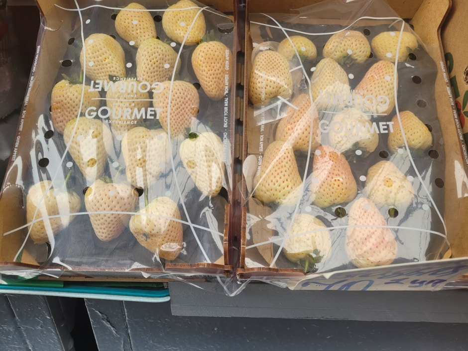 комаровка_март8.jpg комаровка_март8.jpg