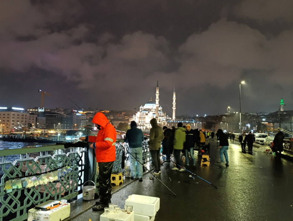 Гуляем по Стамбулу и знакомимся с котами 23.jpg