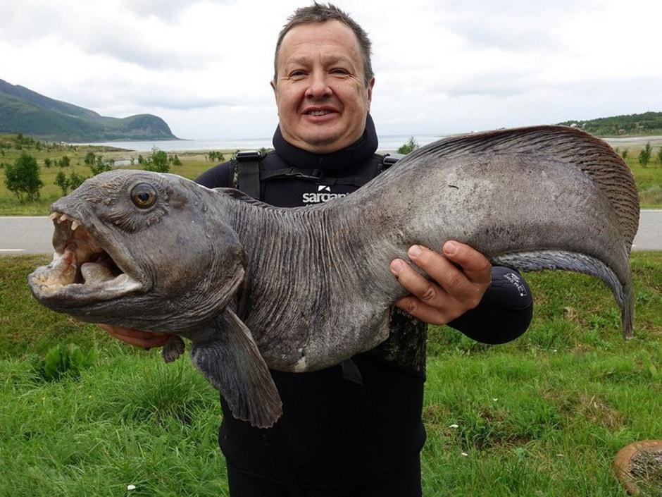 История ласт и акваланга 12_Вячеслав Романович.jpg