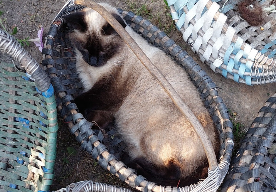 Лето в деревне 12.jpg