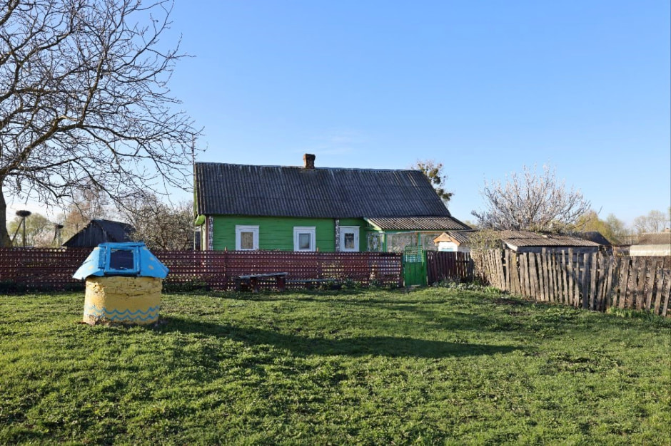 Аисты в деревне Малешев 29.jpg