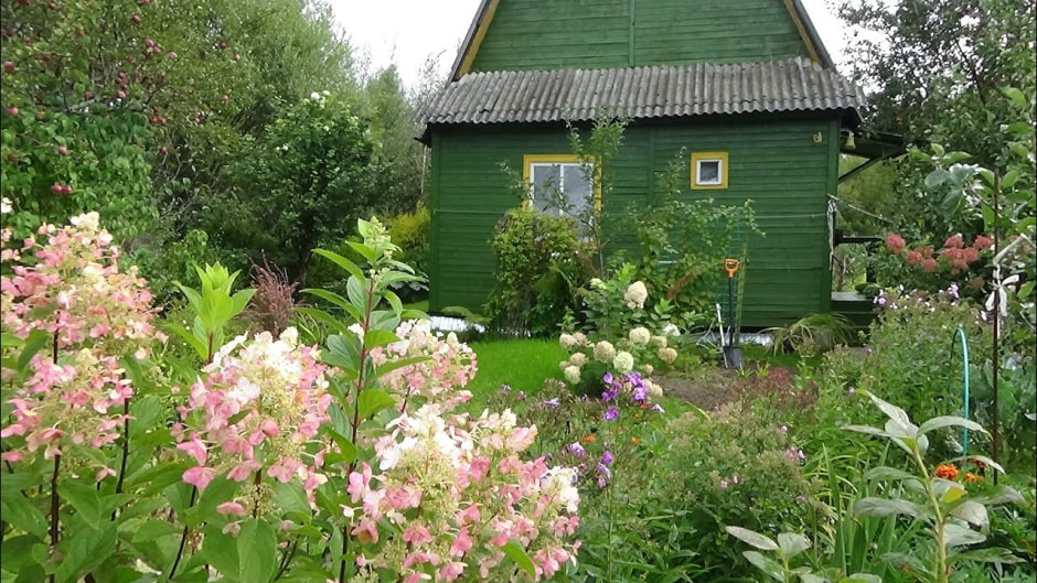 Цветы, дом.jpg