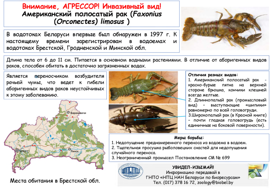 Агрессоры.png Агрессоры.png