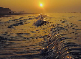 “Климат в состоянии чрезвычайной ситуации”. В ООН бьют тревогу и предупреждают о последствиях на сотни лет