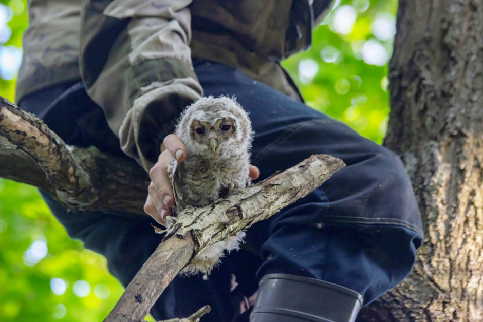 Заказник Выгонощанское 3.jpg