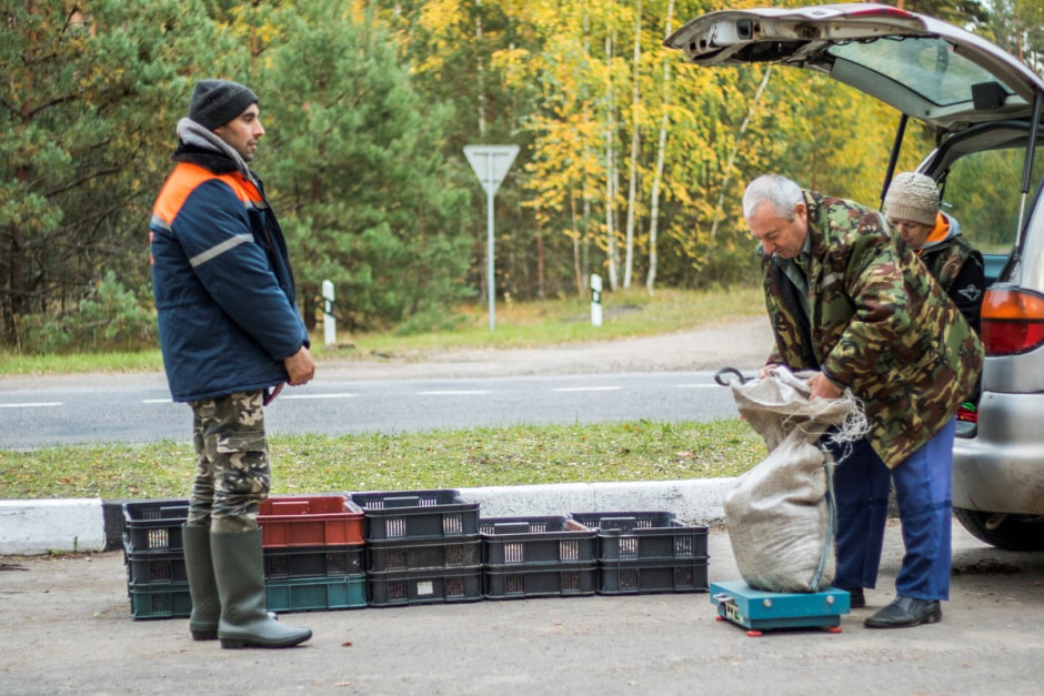 Сбор клюквы 12.jpg