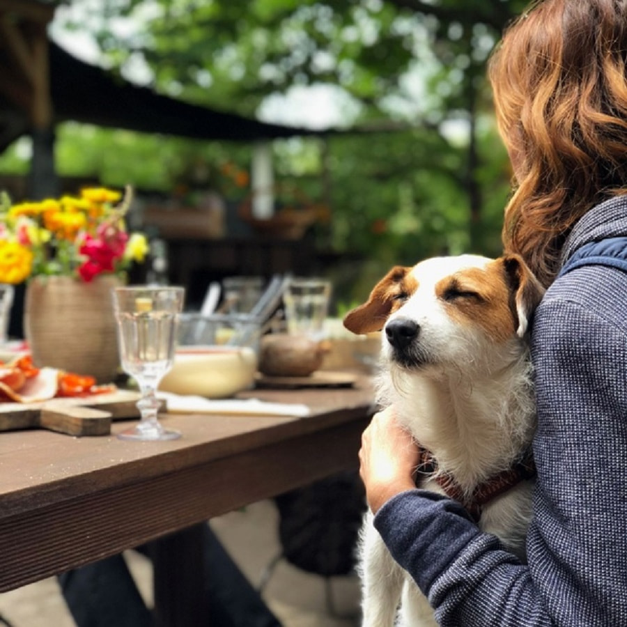 путешествие с животными4.jpg путешествие с животными4.jpg