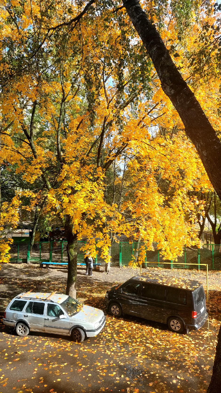 вид на двор. фото sviat_ka вид на двор. фото sviat_ka