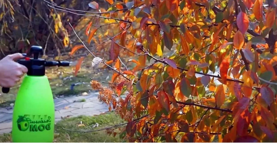 опрыскивание