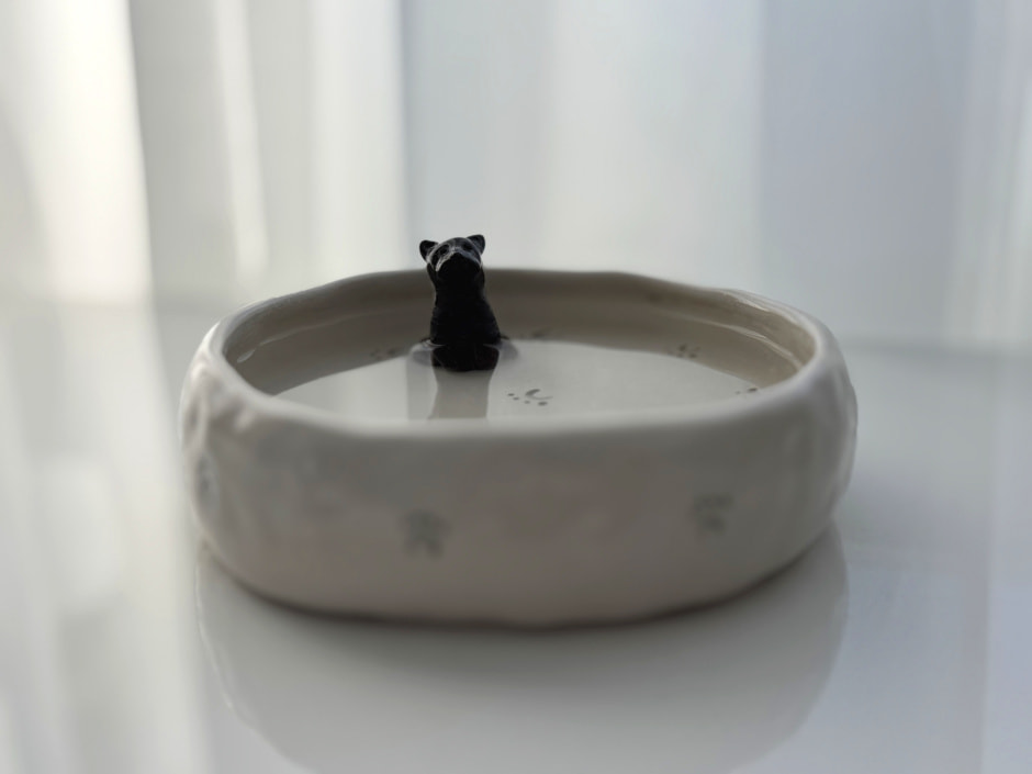 Миска с водой