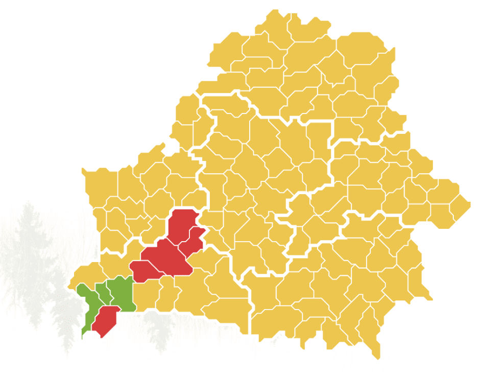 Свободно посещать леса можно только в трех районах Беларуси.png