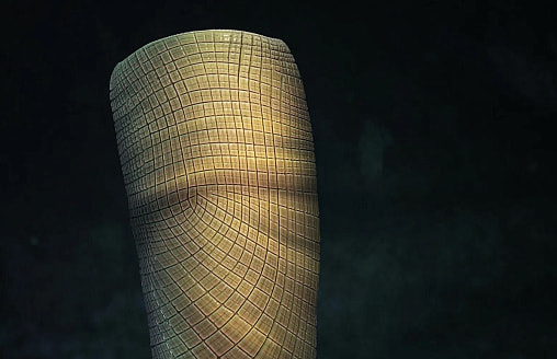 Загадка на 160 миллионов лет решена: ученые нашли “пропавших” первых животных