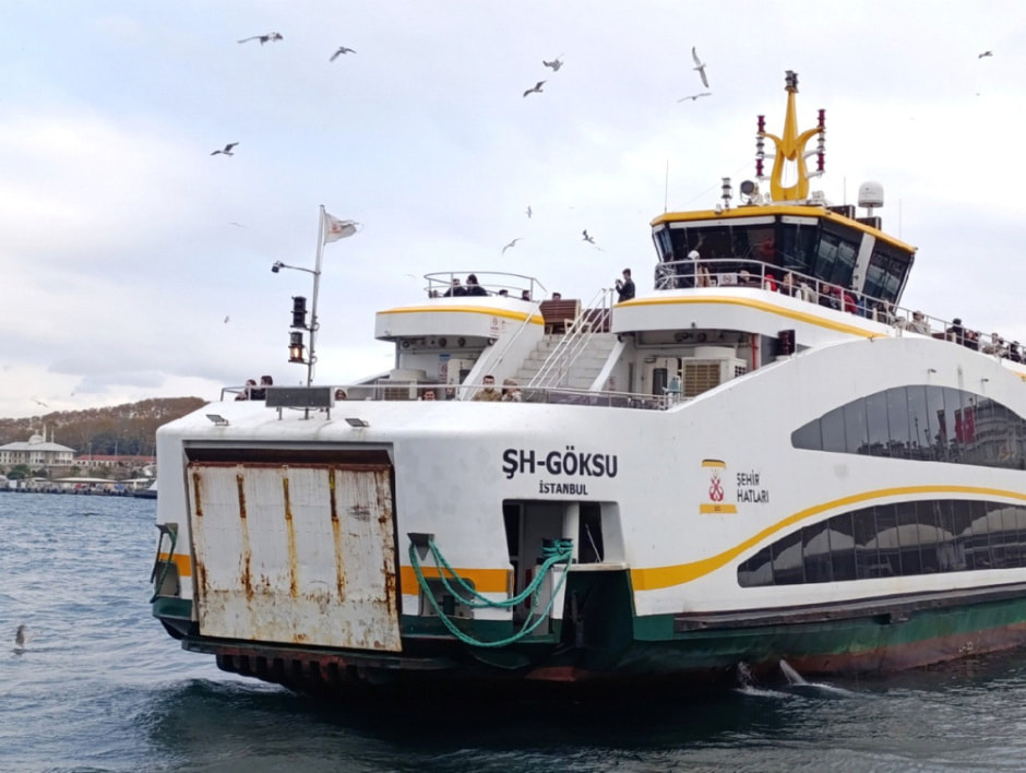 Гуляем по Стамбулу и знакомимся с котами 19.jpg