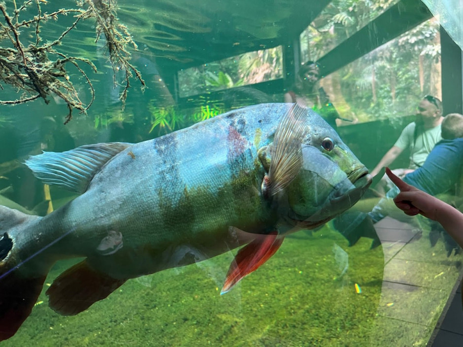 Берлинский зоопарк 21.jpg