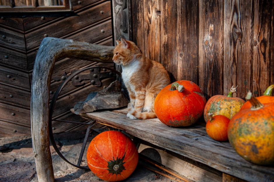 Деревня Забродье 13.jpg