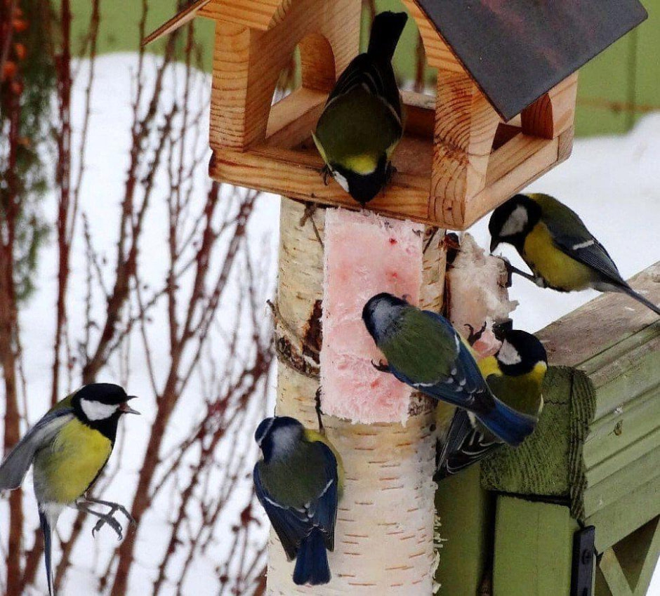 photo_2024-12-02_21-55-27 (2).jpg