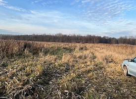 Белорус заплатил штраф больше 5 тыс. рублей и заработал уголовную статью после поездки в лес