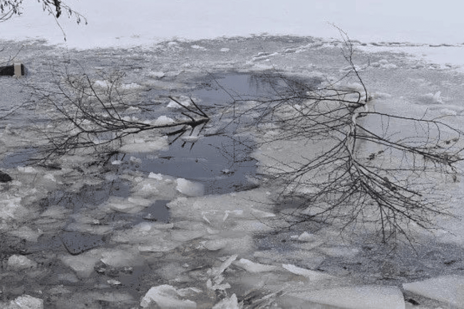 лед витебск.png