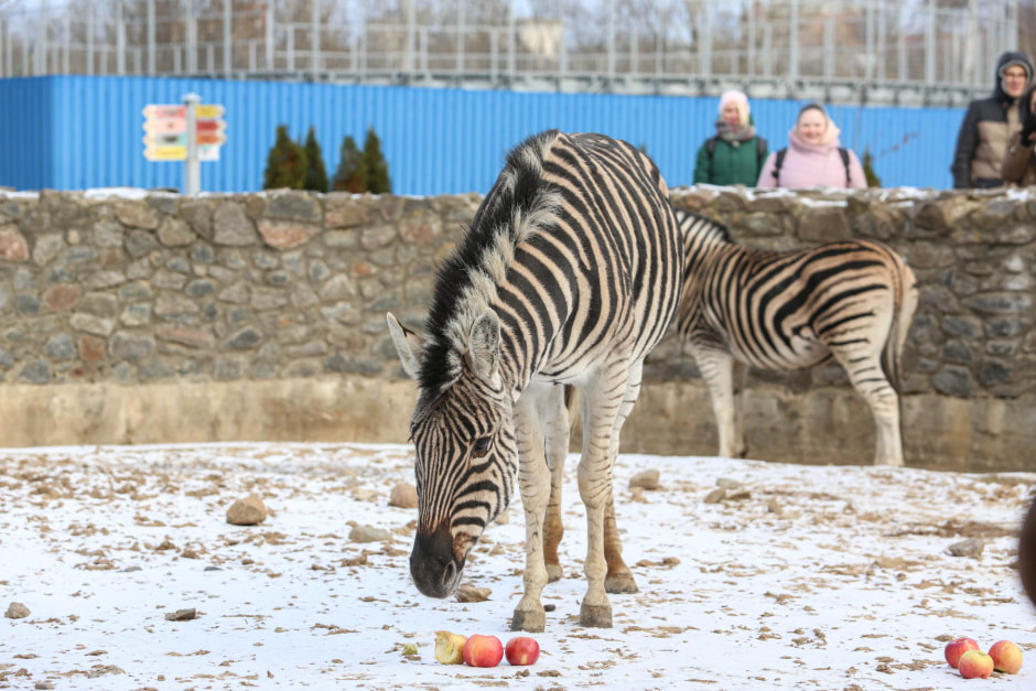 H99B2219.jpg H99B2219.jpg